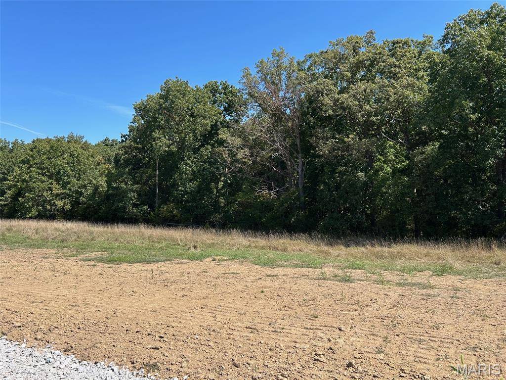 Wentzville, MO 63385,Lot 38 HOLT FARMS CT