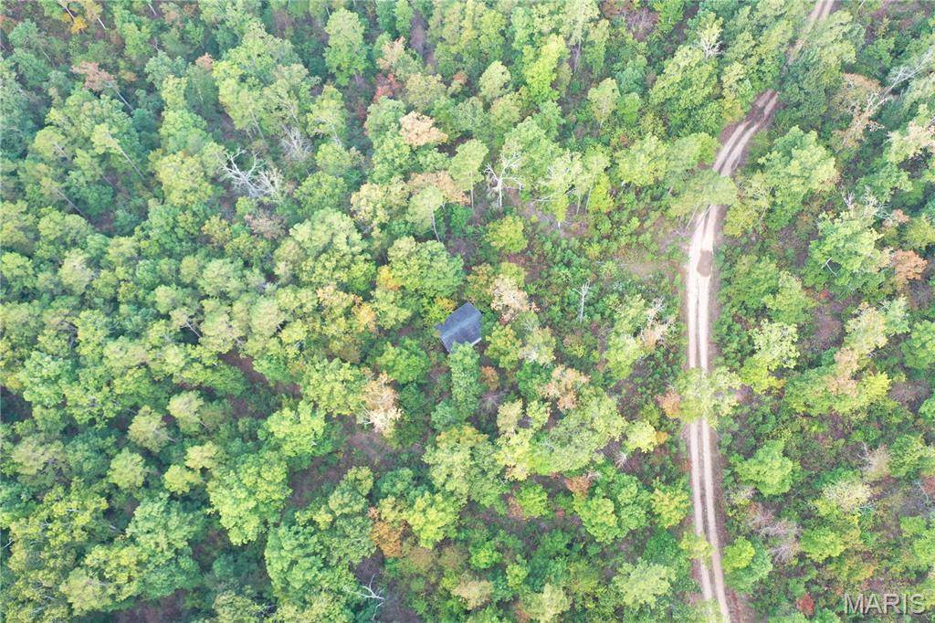 Silva, MO 63964,TBD Tract 1 Highway 34