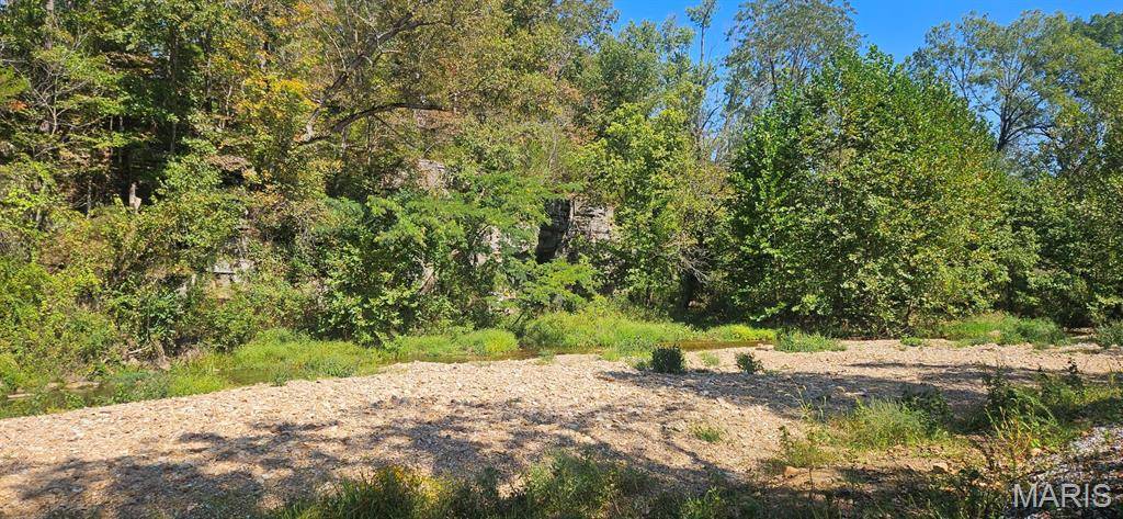 Houston, MO 65483,0 Brushy Creek RD