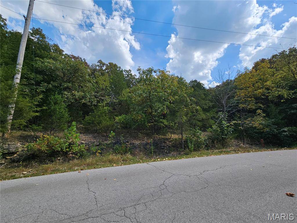 Hillsboro, MO 63050,10020 Waterford DR