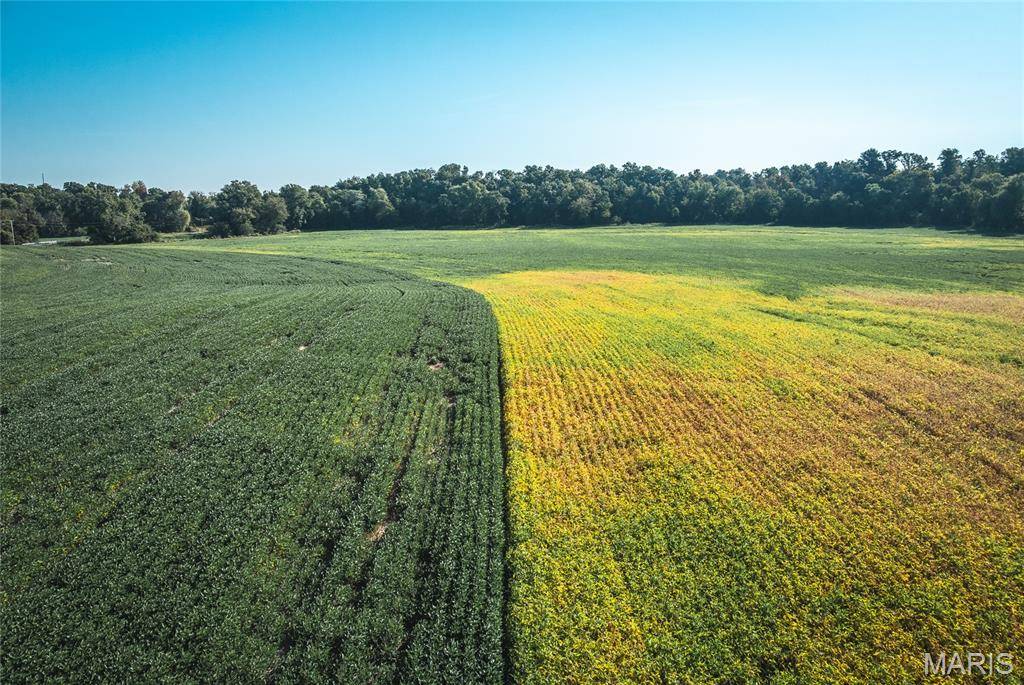 Millstadt, IL 62260,000 Etling RD