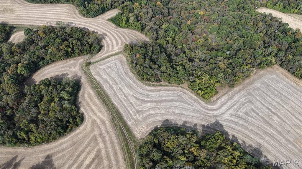 Renault, IL 62277,319ac 1519 G RD