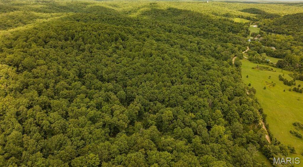 Silva, MO 63964,2164 Wayne 220B