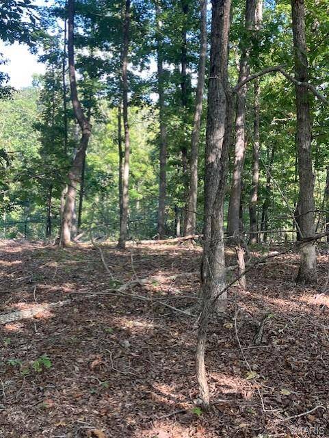 Fredericktown, MO 63645,175 Madison CR 410