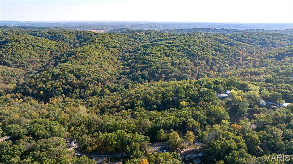 Barnhart, MO 63012,0 Upper Moss Hollow RD