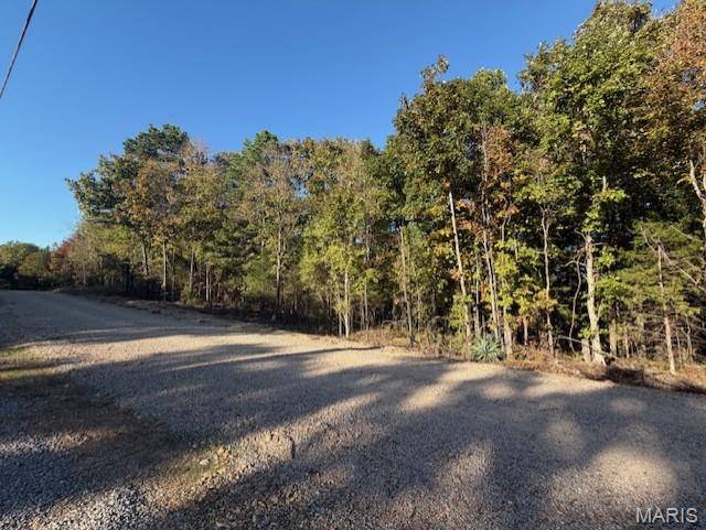 Poplar Bluff, MO 63901,00 Rabbit Run RD