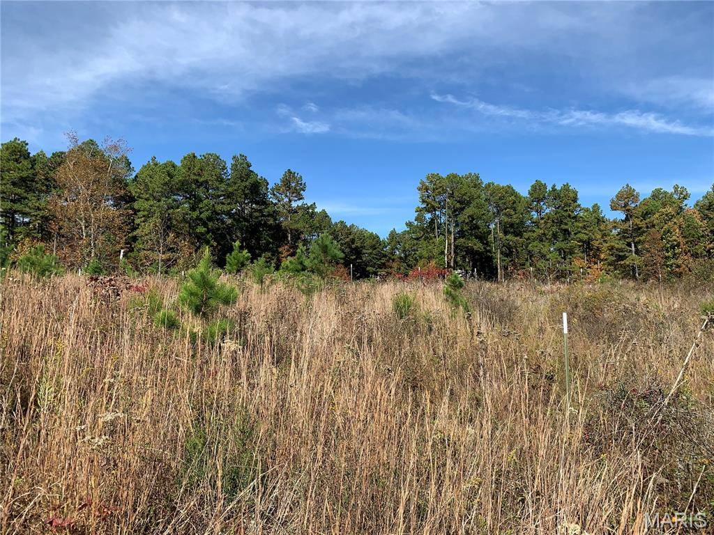 Salem, MO 65560,1076 Highway WW