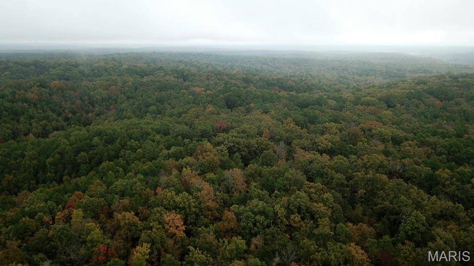 Williamsville, MO 63967,00 Forest Road 3123