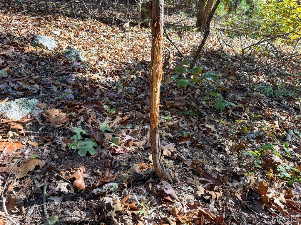 Potosi, MO 63664,46.4+/- Acre Delpark Road