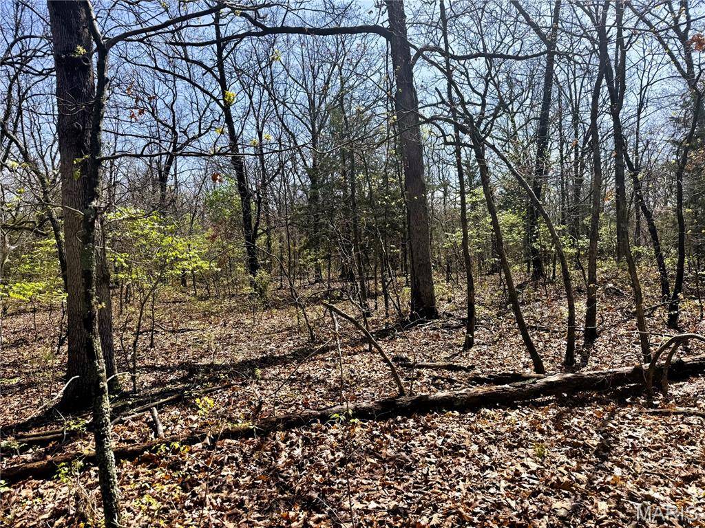 Crocker, MO 65452,0 Highway 17