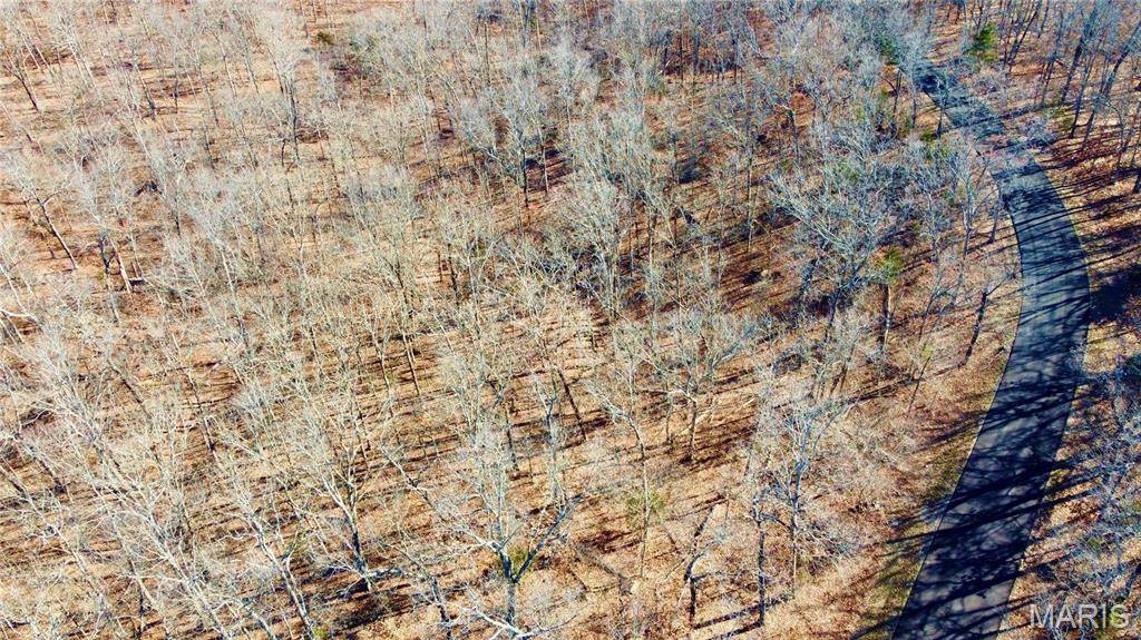 Farmington, MO 63640,461 Buzzard Rock Rd RD