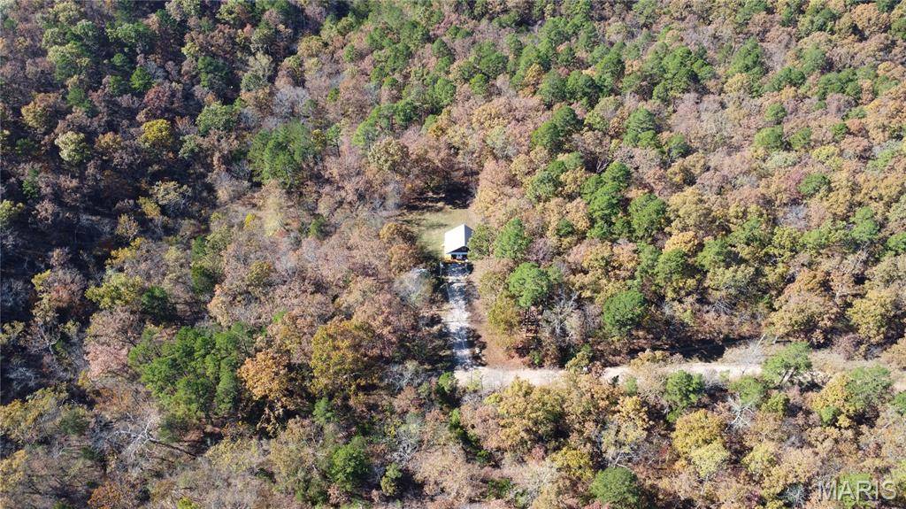 Potosi, MO 63664,10256 Christina TRL