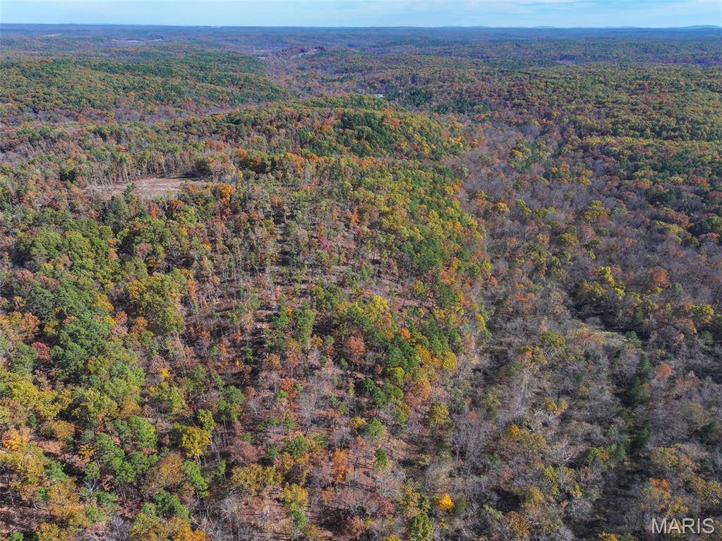 Potosi, MO 63664,0 Floyd Tower Road