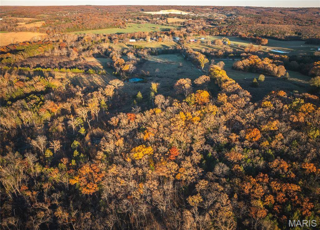 Rolla, MO 65401,0 TBD