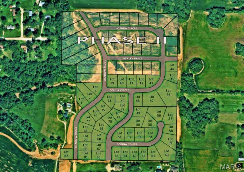 Columbia, IL 62236,Lot 39 Shadow/Joshua Circle RDG