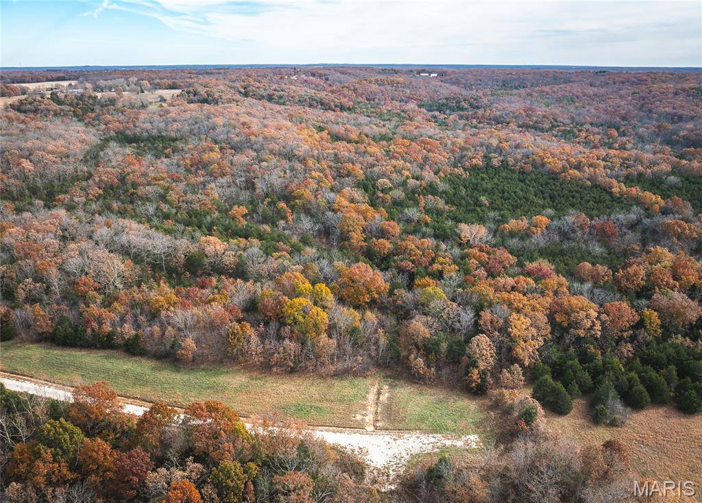 Rolla, MO 65401,Lot #17 Private Drive 5294