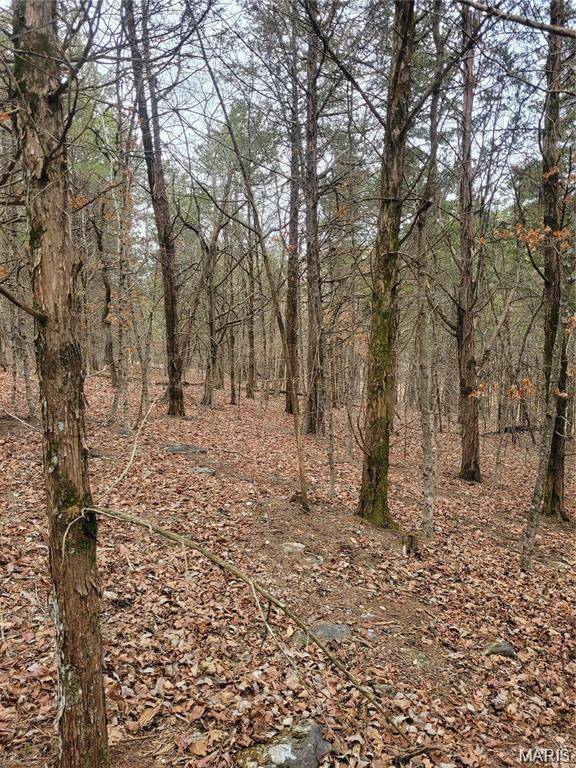 Festus, MO 63028,3423 Meyer RD