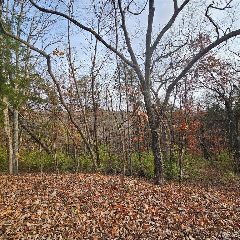 Cedar Hill, MO 63016,6900 Scenic View DR