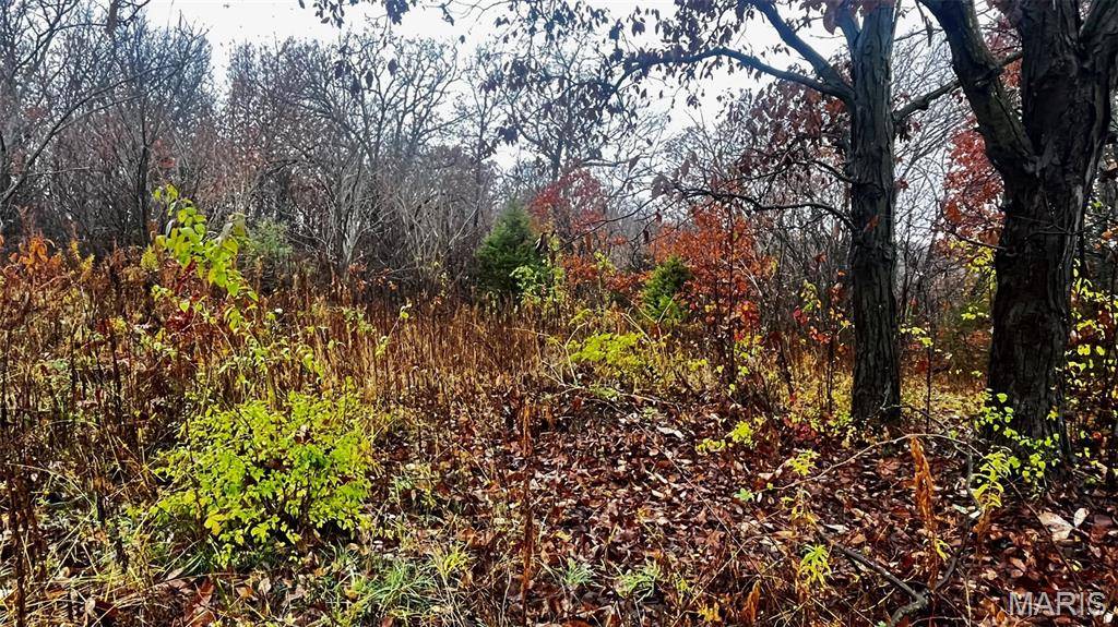 Bland, MO 65014,209 N Victor Street