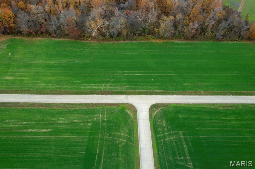 Benton, MO 63736,320 Bertha E Dumey DR