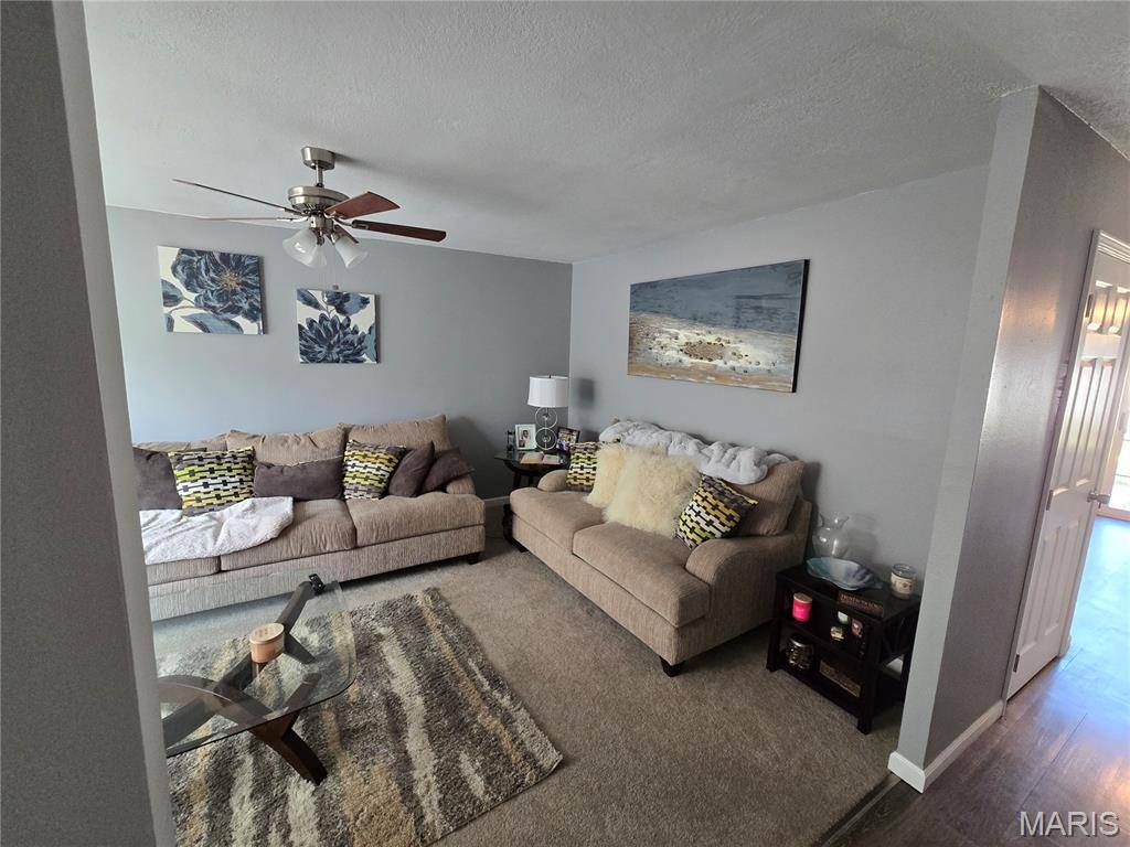 Florissant, MO 63033,12136 La Padera LN