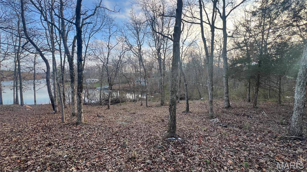 Fredericktown, MO 63645,0 Lot 27 Lake Harmony