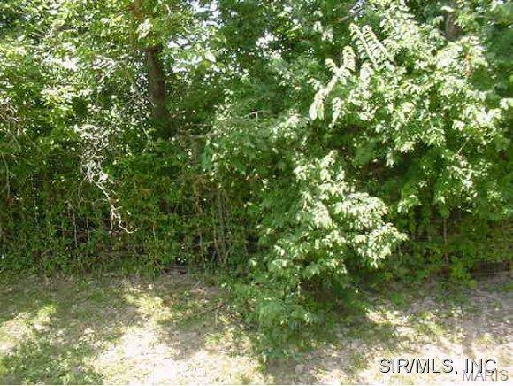 Sorento, IL 62086,302 N STATE ST