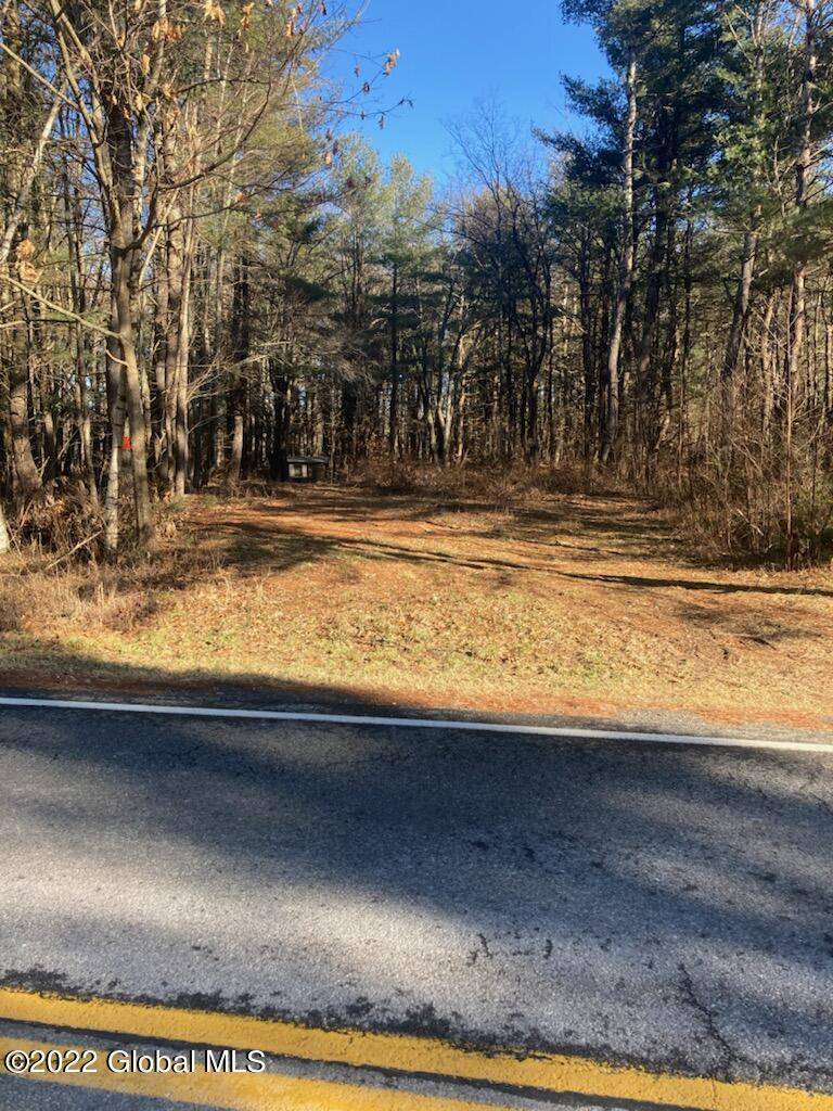 Westerlo, NY 12193,00 County Route 408