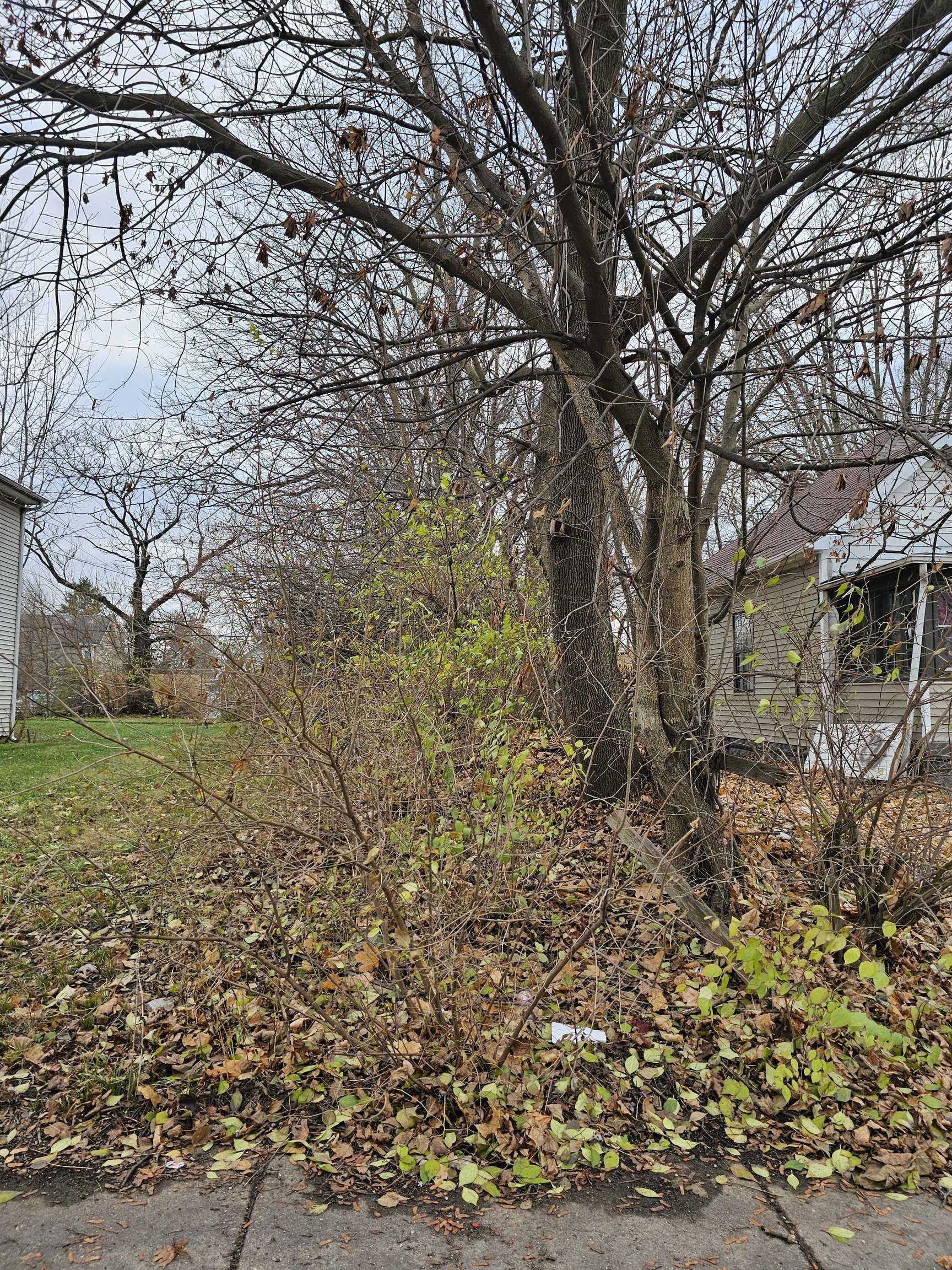 Indianapolis, IN 46208,931 W 27th ST