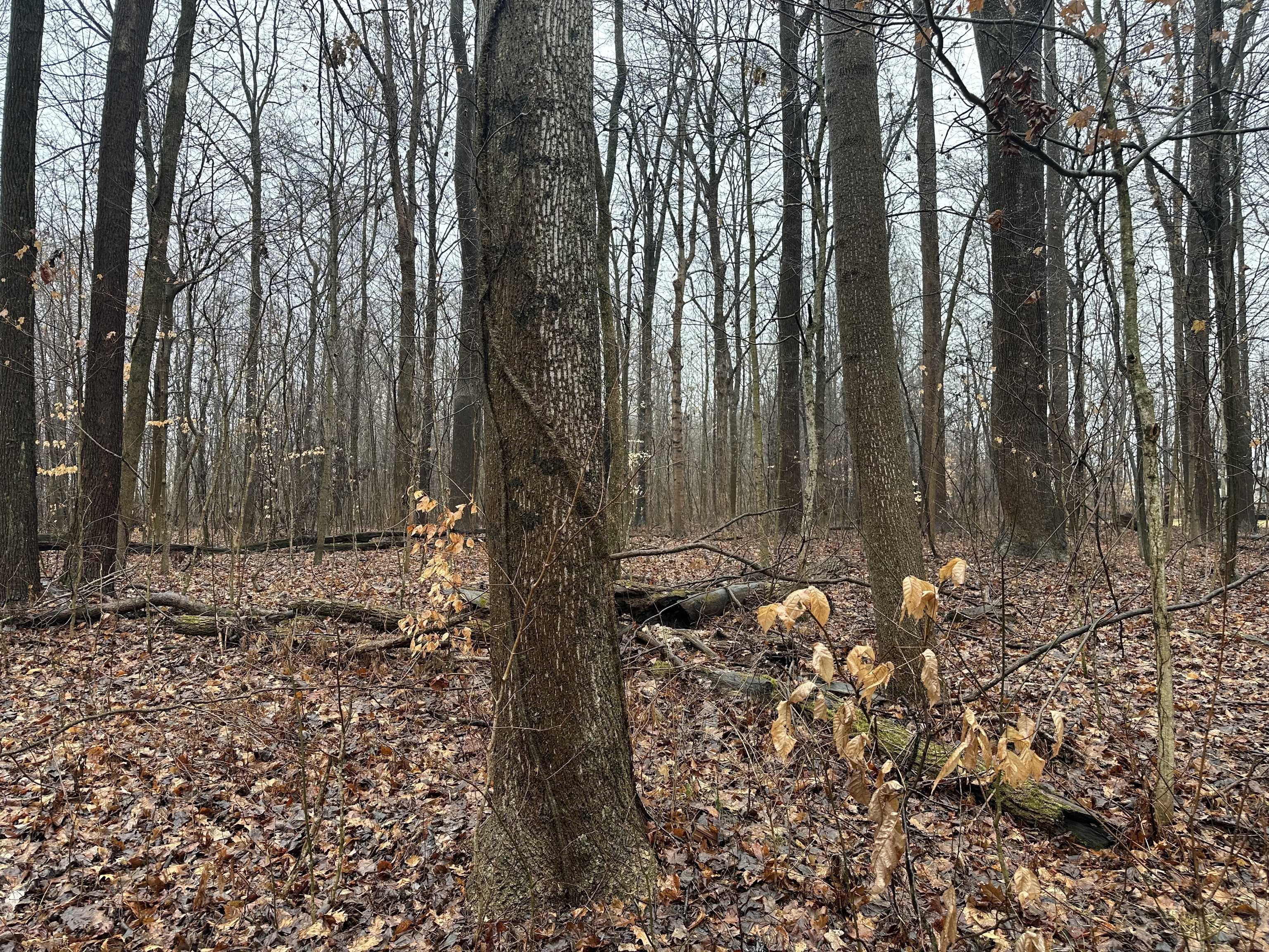 Brazil, IN 47834,0 N Lake In The Woods DR