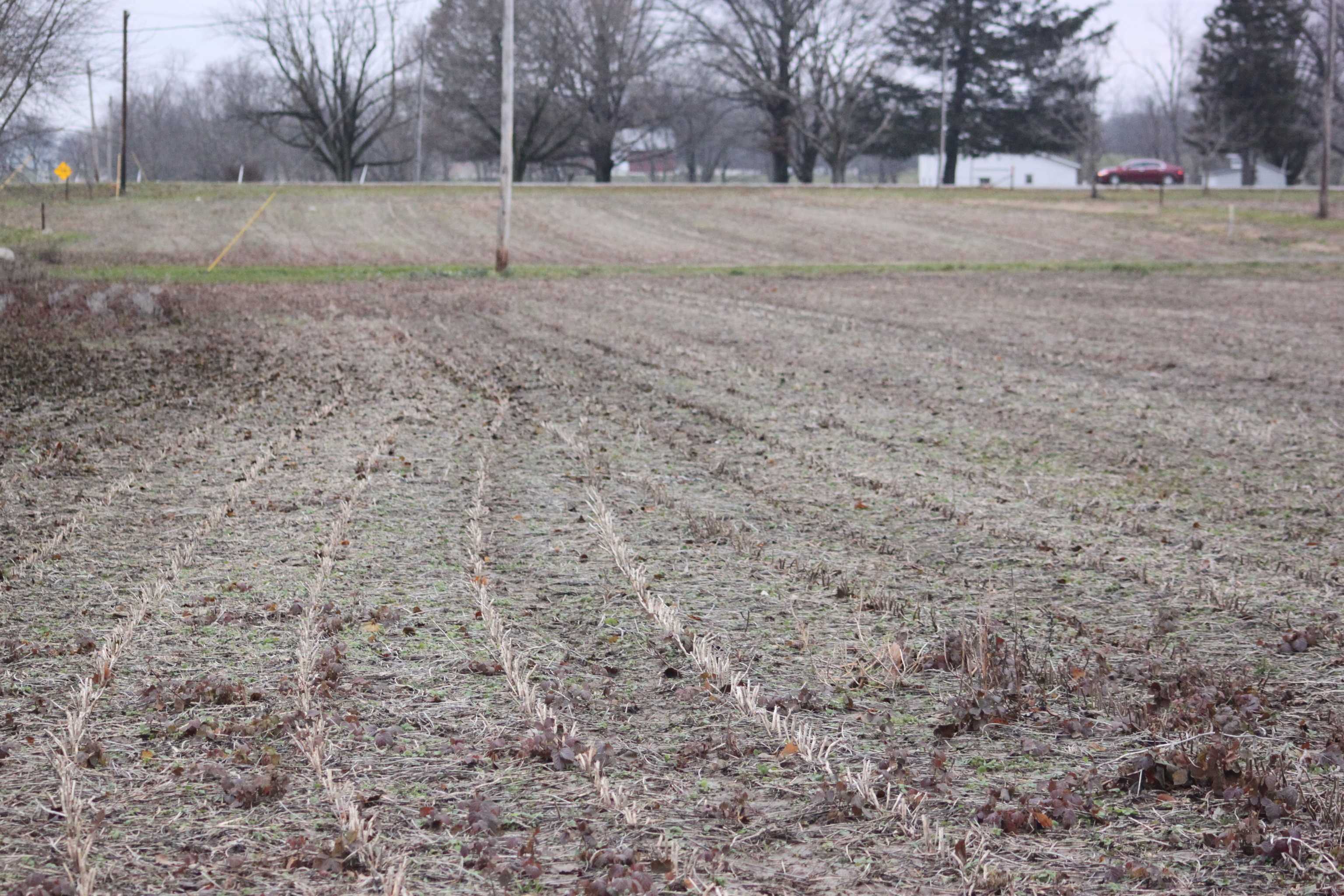 Frankton, IN 46044,Lots 124, 125 W Clyde ST