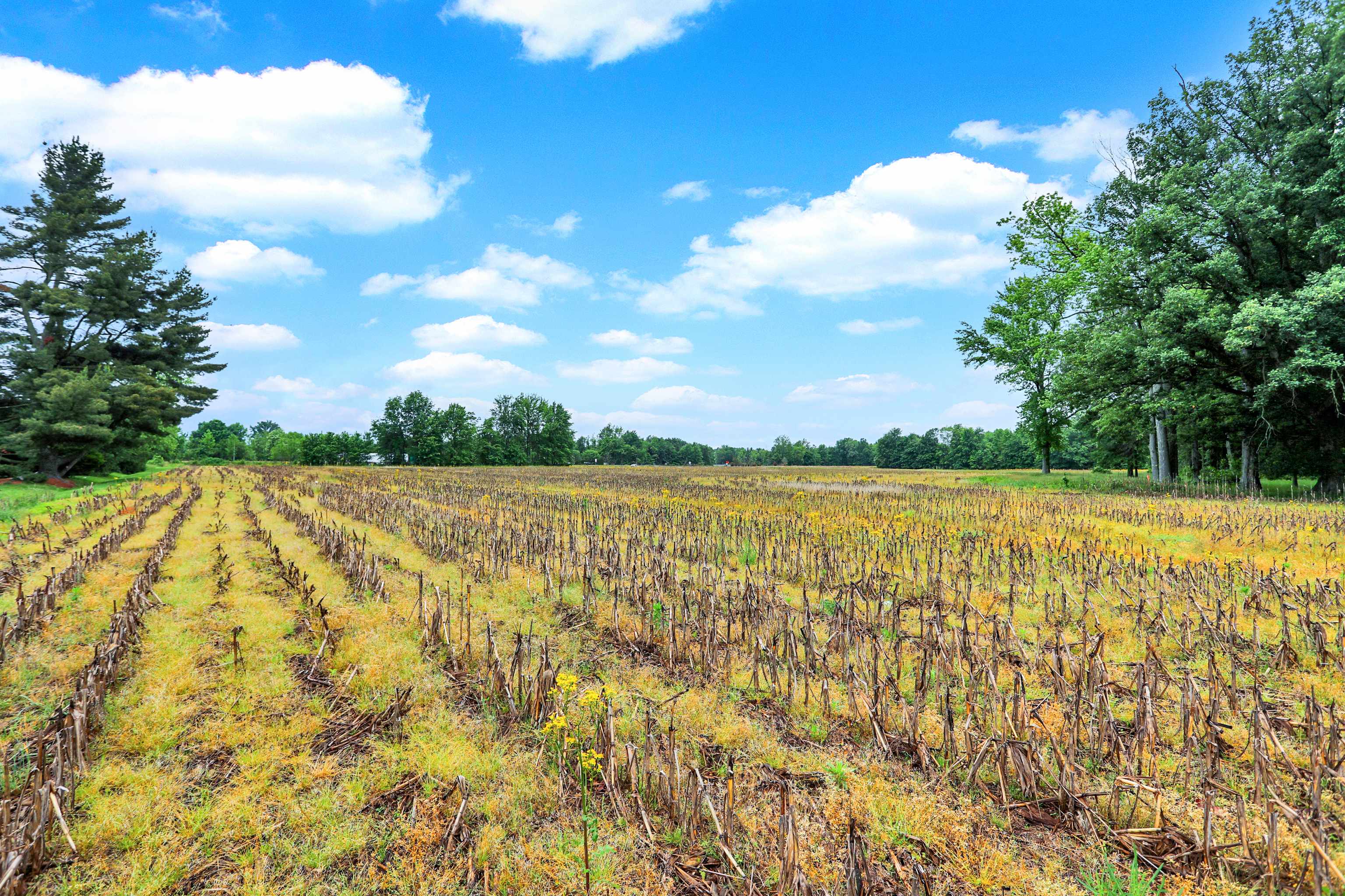North Vernon, IN 47265,1597 W County Road 350 N