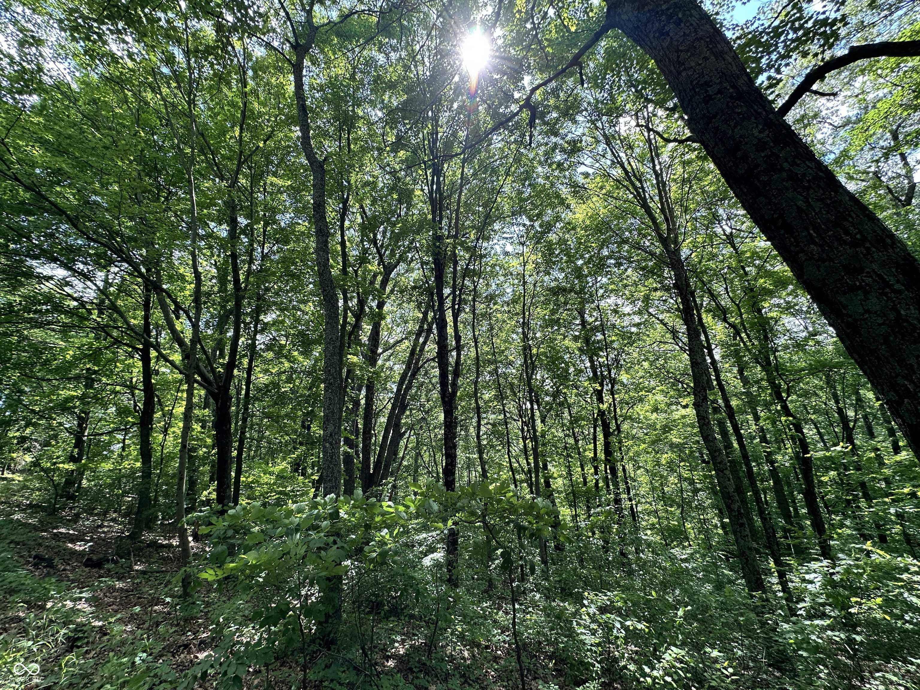 Martinsville, IN 46151,0 Dynasty Ridge RD