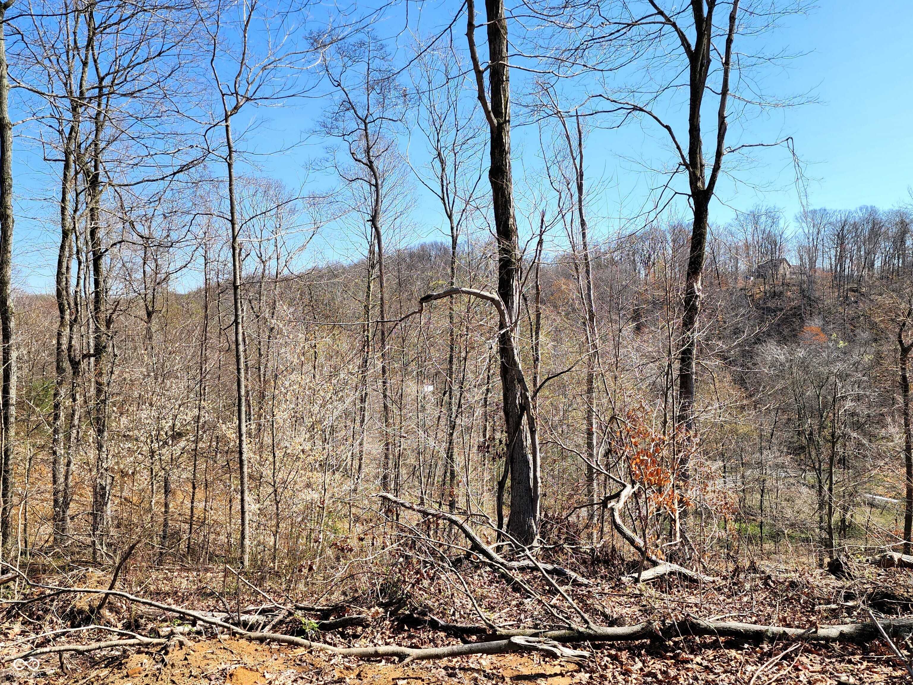 Martinsville, IN 46151,0 Goat Hollow Estates Lot 1