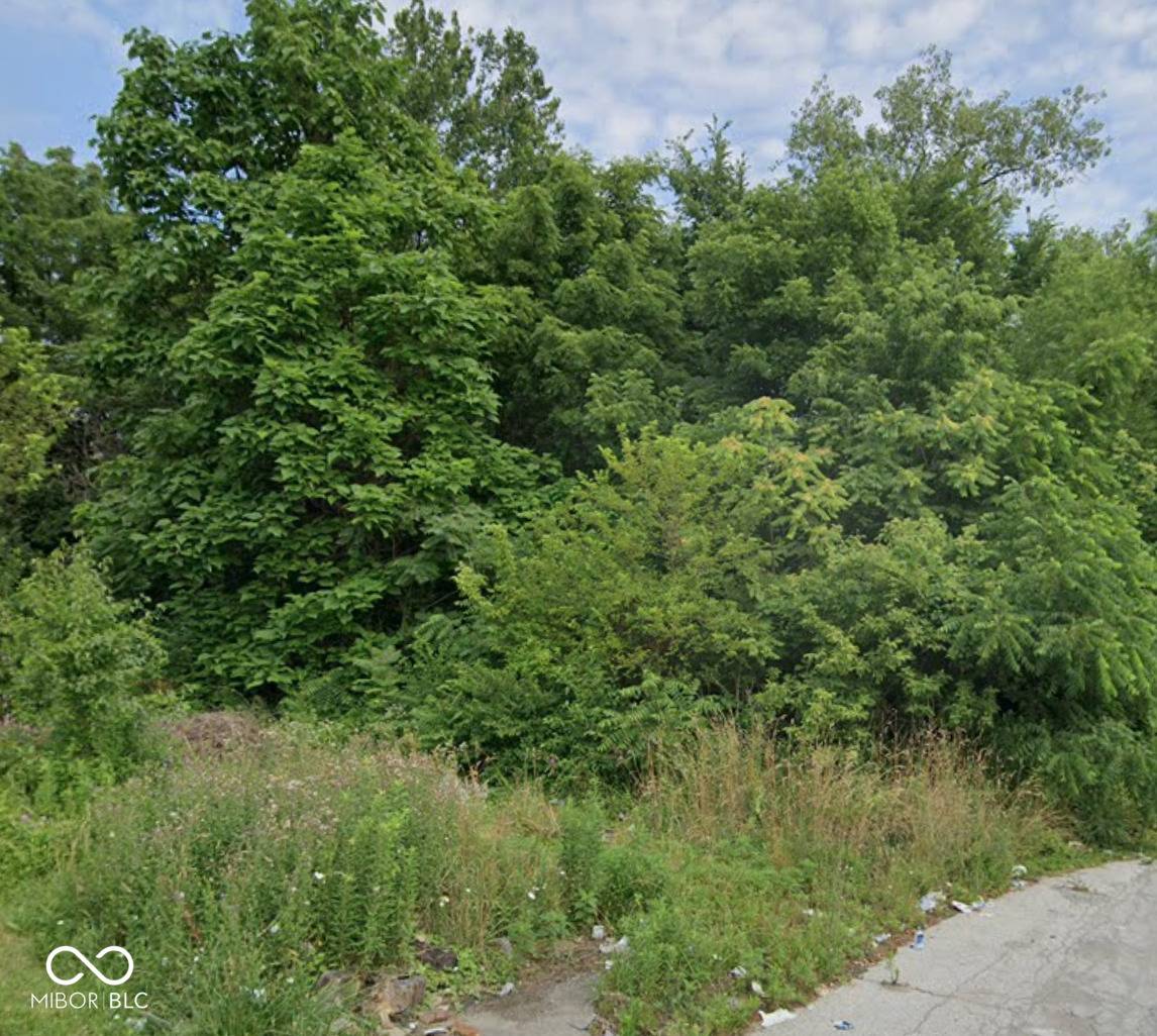 Indianapolis, IN 46218,3122 N Euclid AVE
