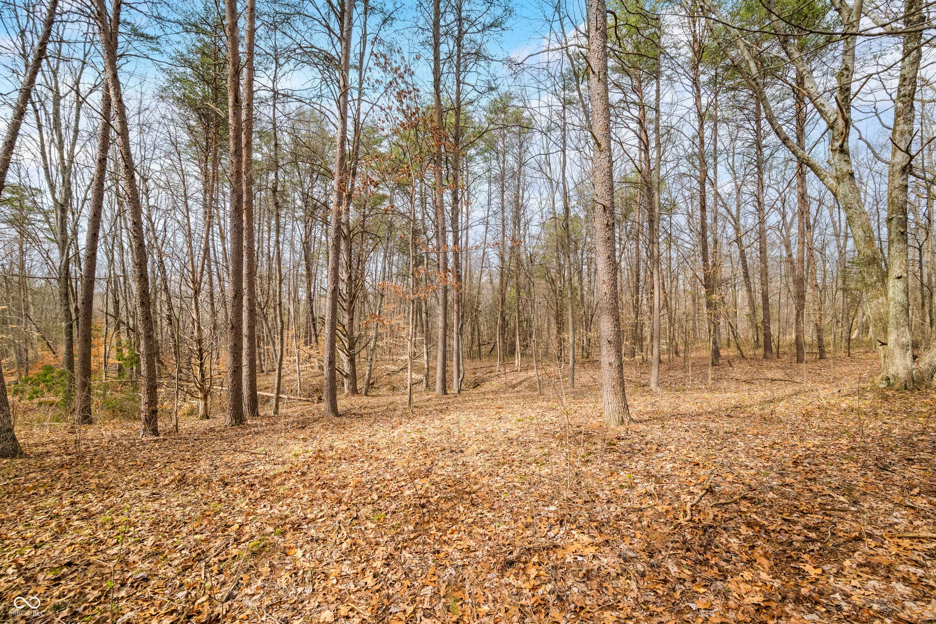 Scottsburg, IN 47170,11704 E Smith RD