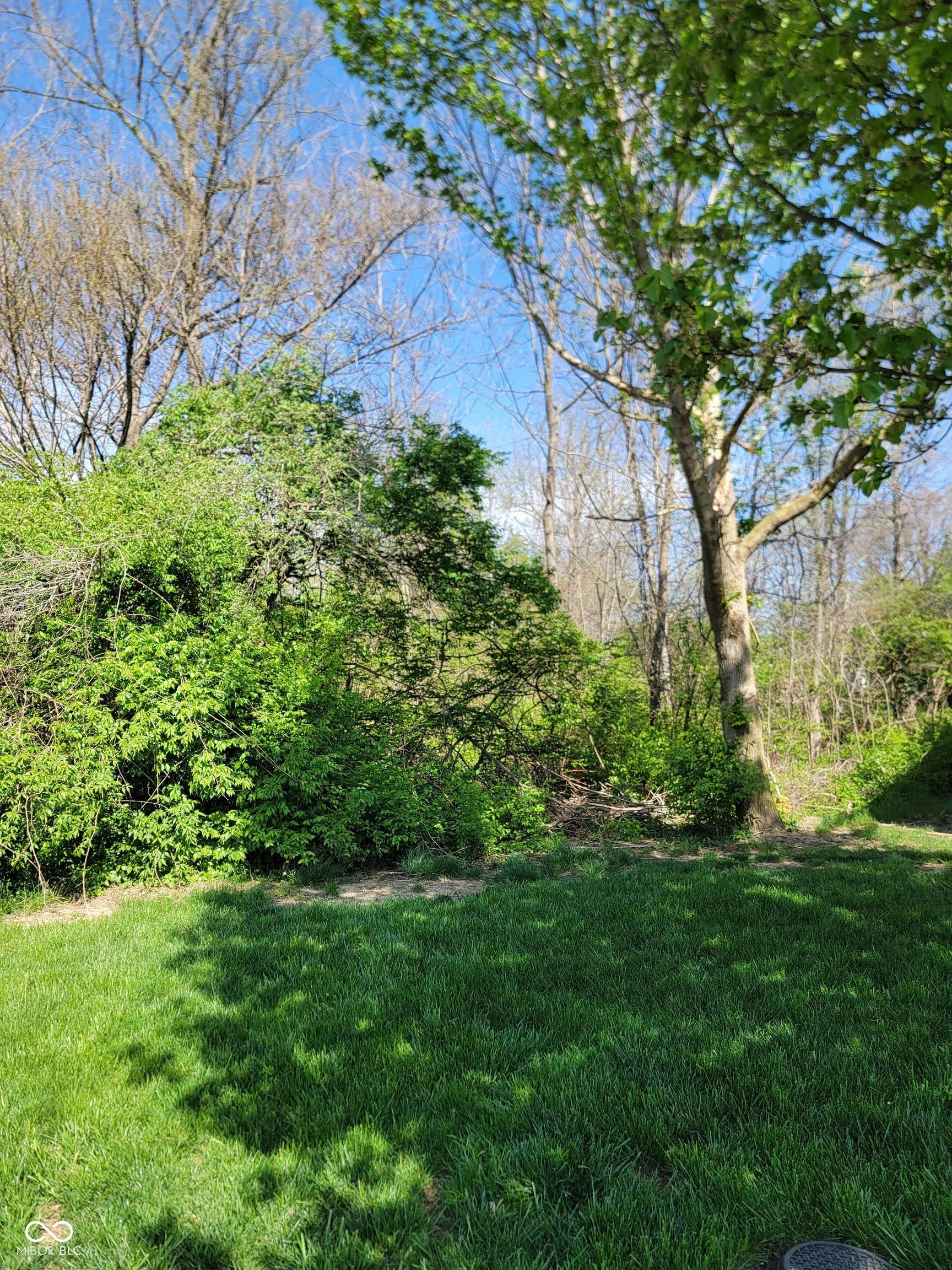Indianapolis, IN 46221,5912 Accent DR