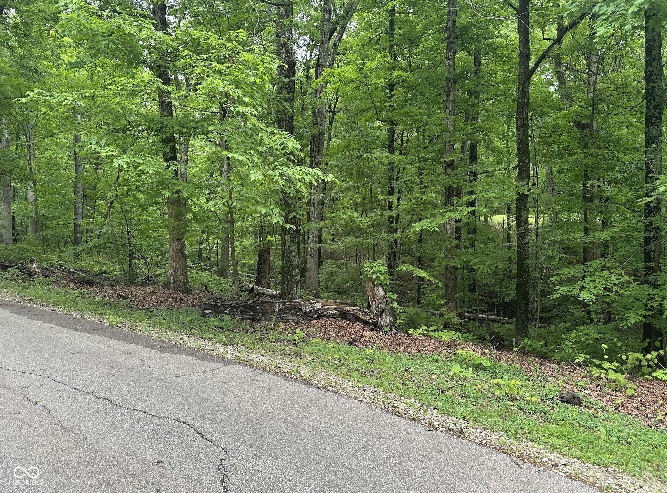 Nineveh, IN 46164,6375 Badger DR