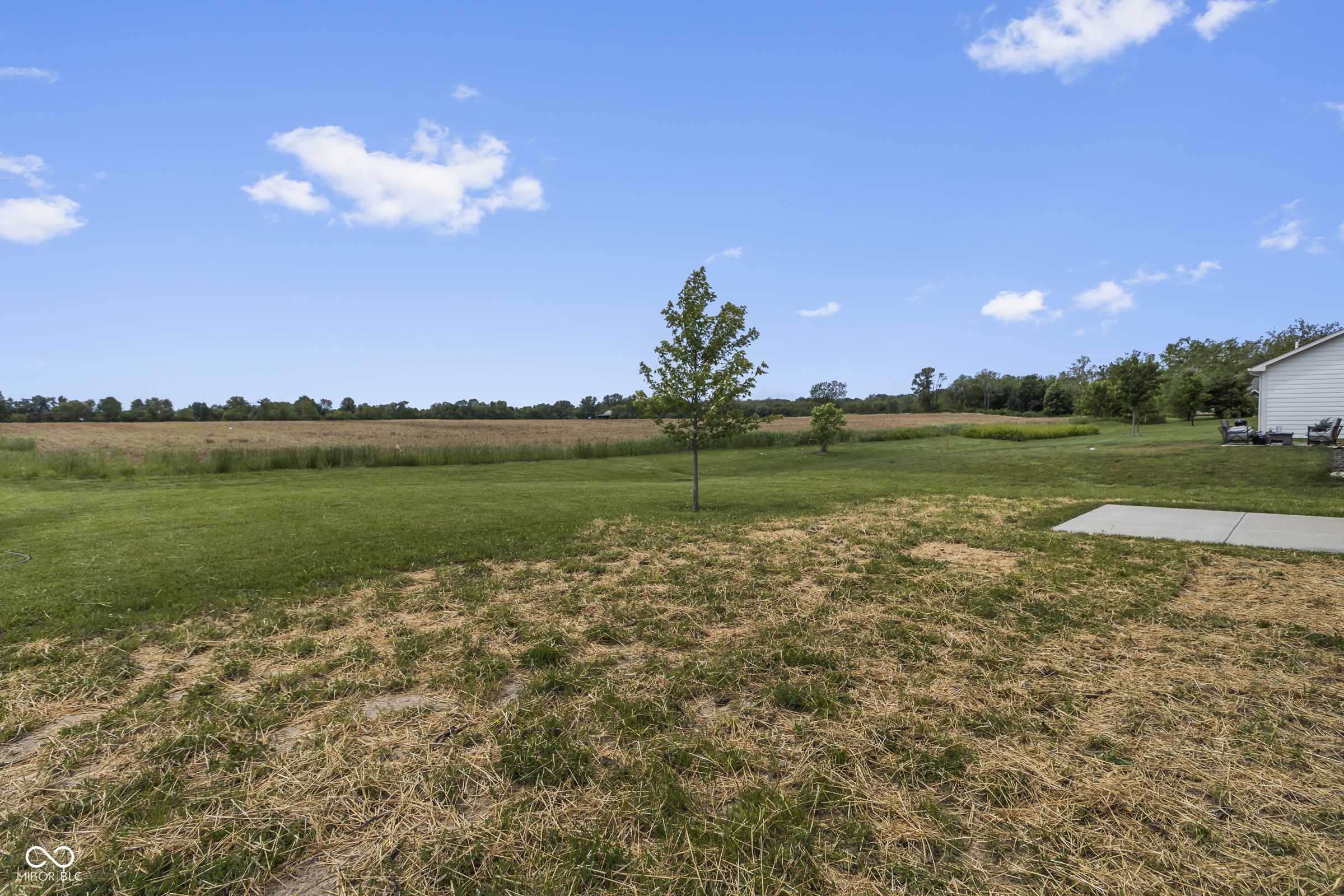Indianapolis, IN 46229,11815 Adair PL