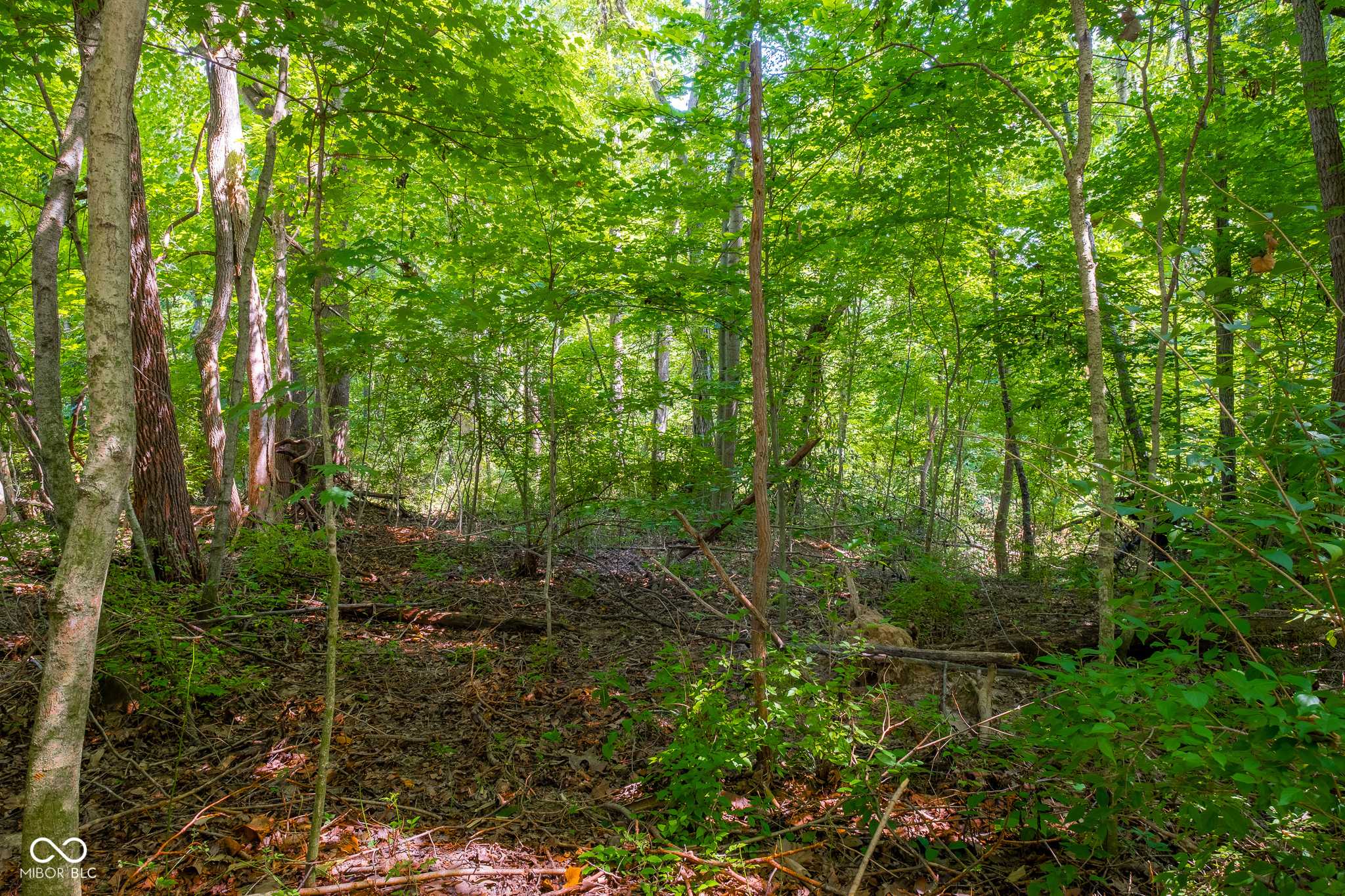 Columbus, IN 47201,6475 W Ohio Ridge RD