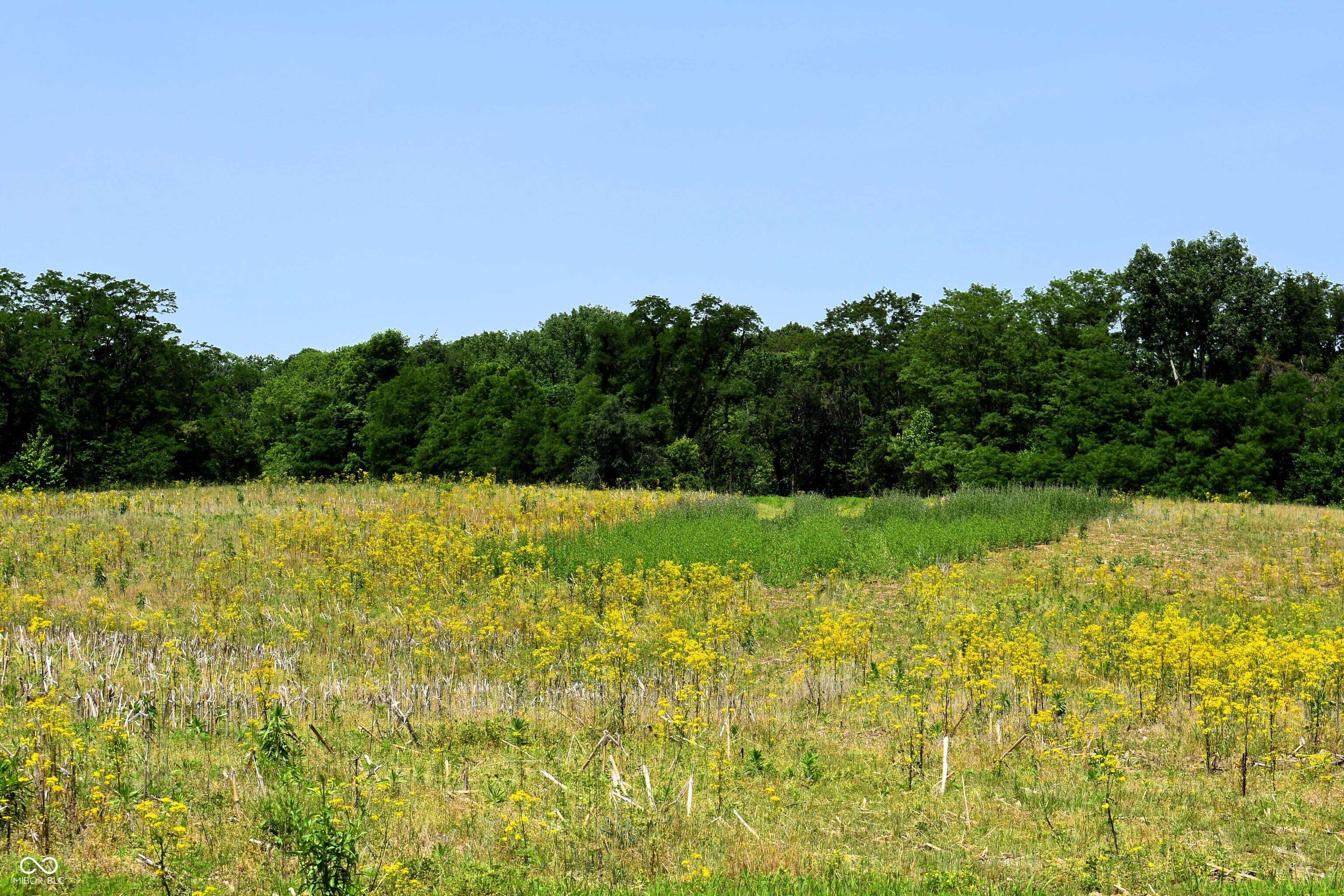 Mooresville, IN 46158,0 Whitetail Ridge Lot 3