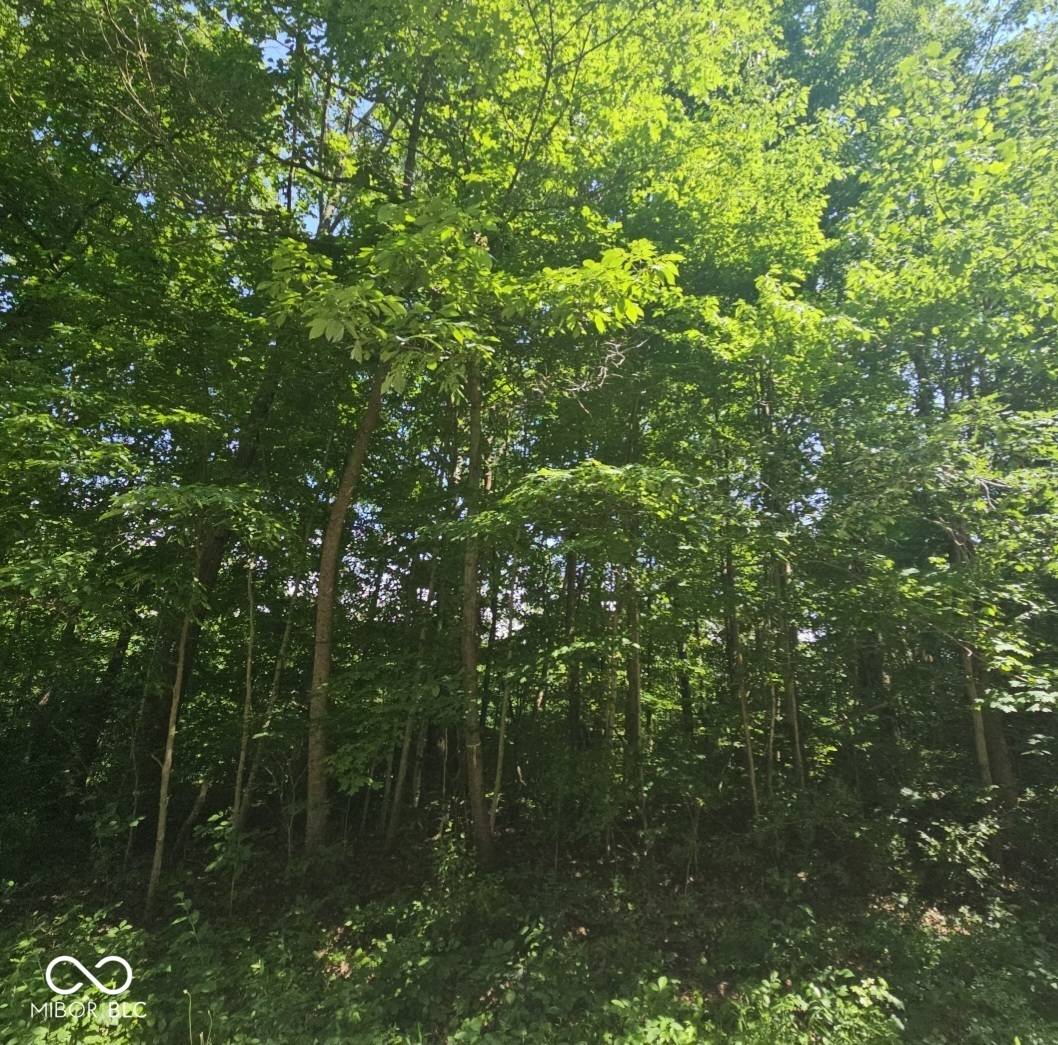 North Vernon, IN 47265,238 hawthorne DR