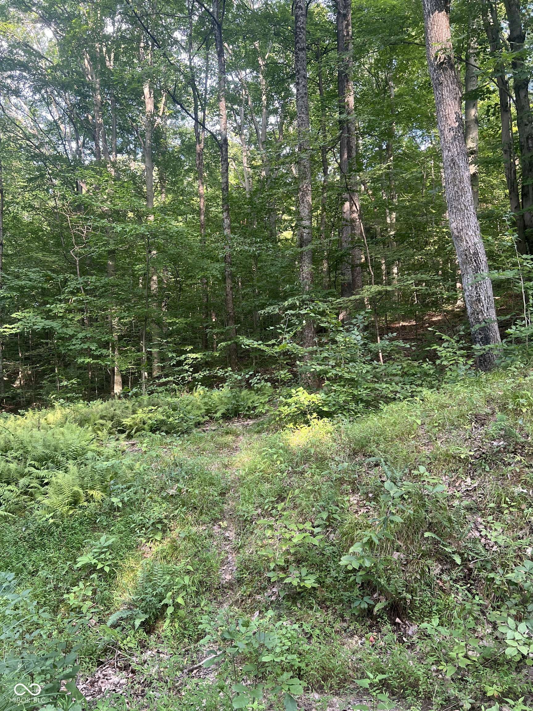 Martinsville, IN 46151,0 E Sunnyslope DR