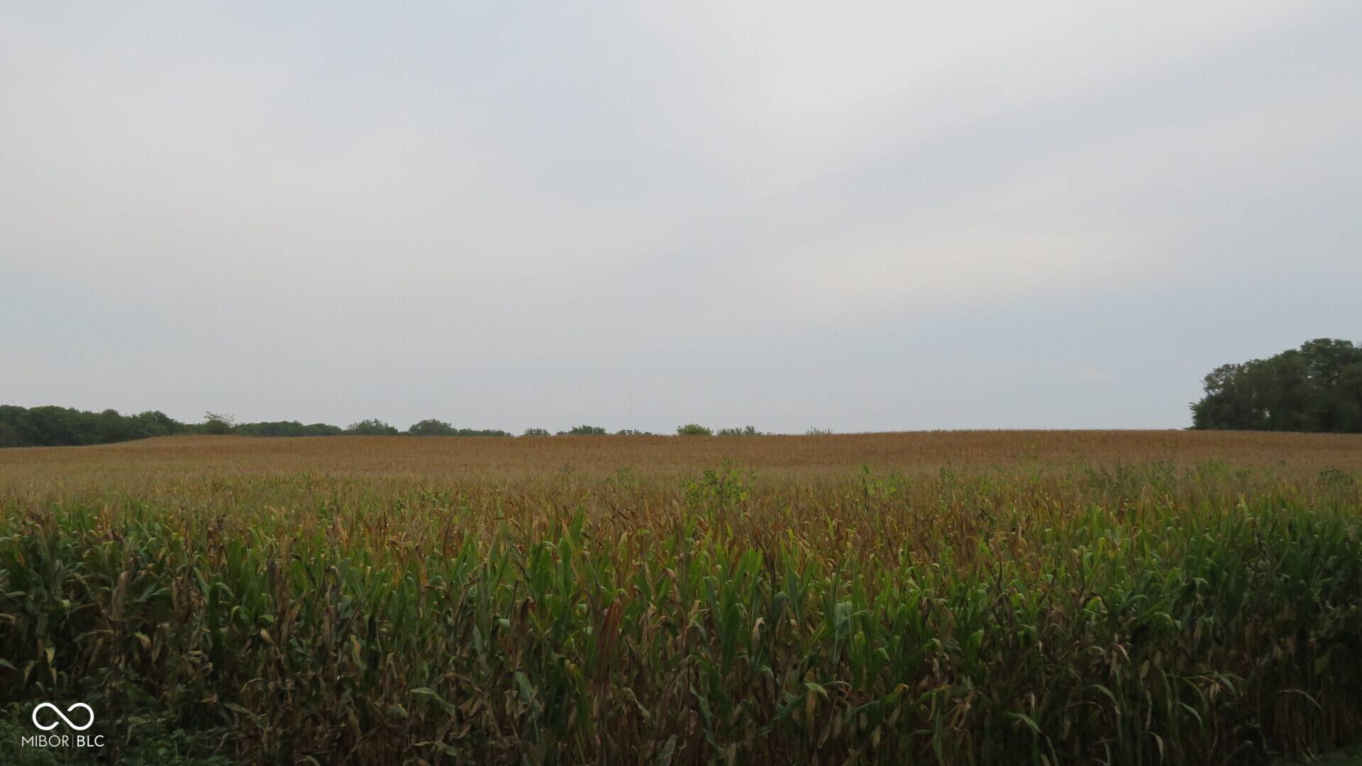 Crawfordsville, IN 47933,00 N 275 West RD