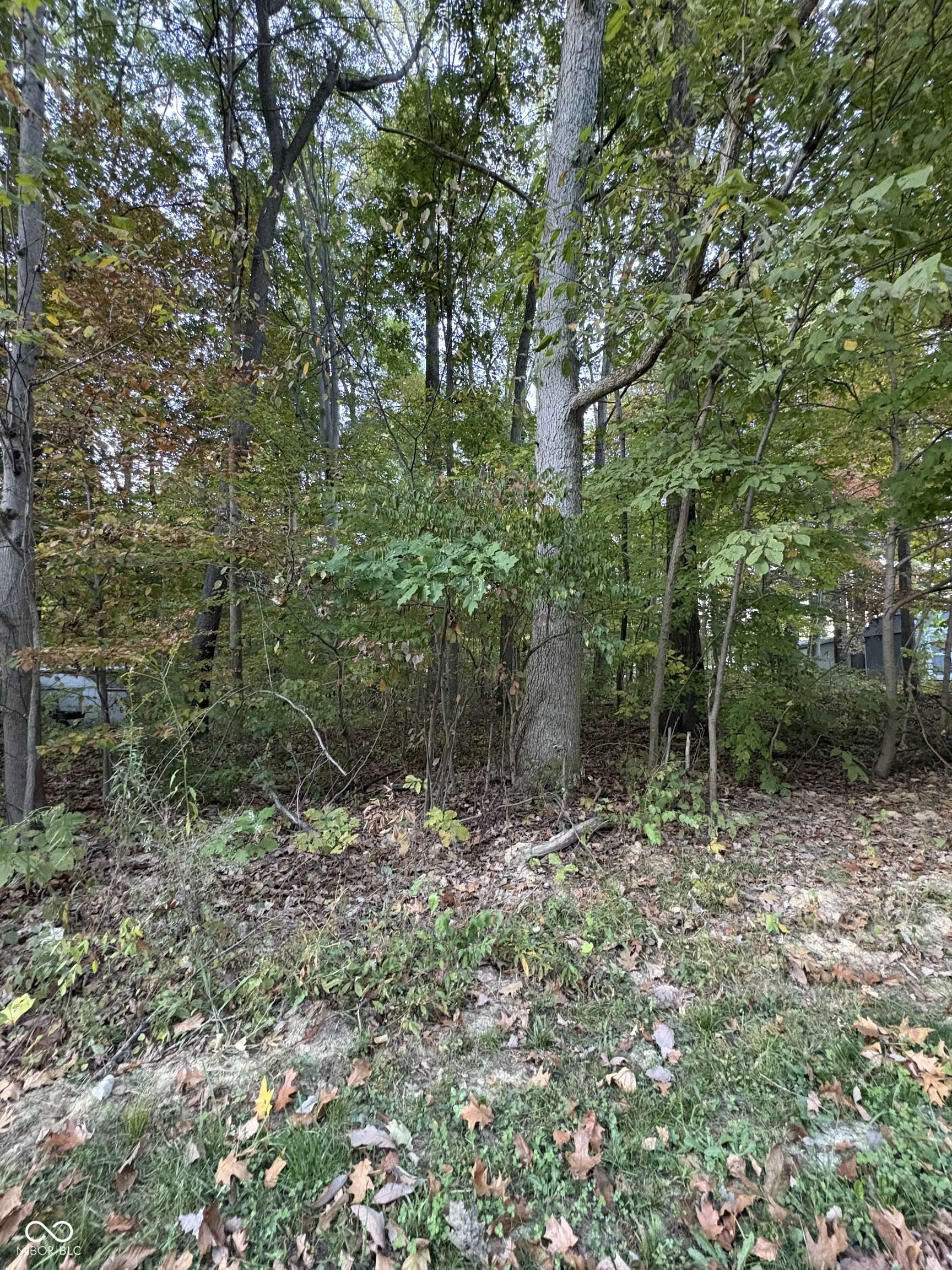 Cloverdale, IN 46120,205 Stardust WAY