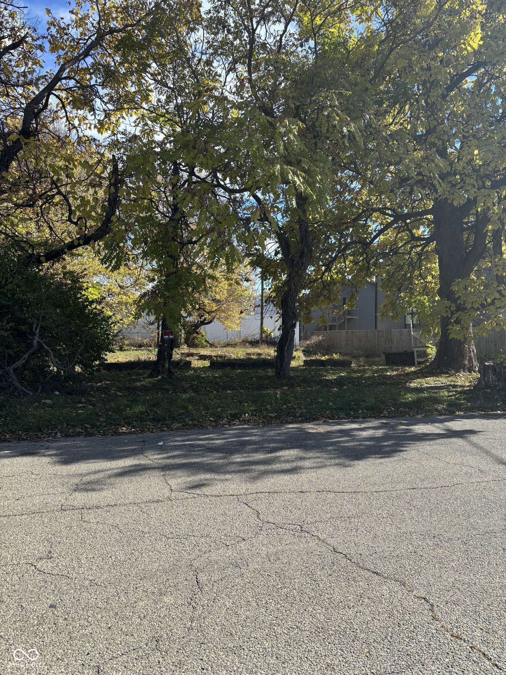 Indianapolis, IN 46202,2069 + Yandes