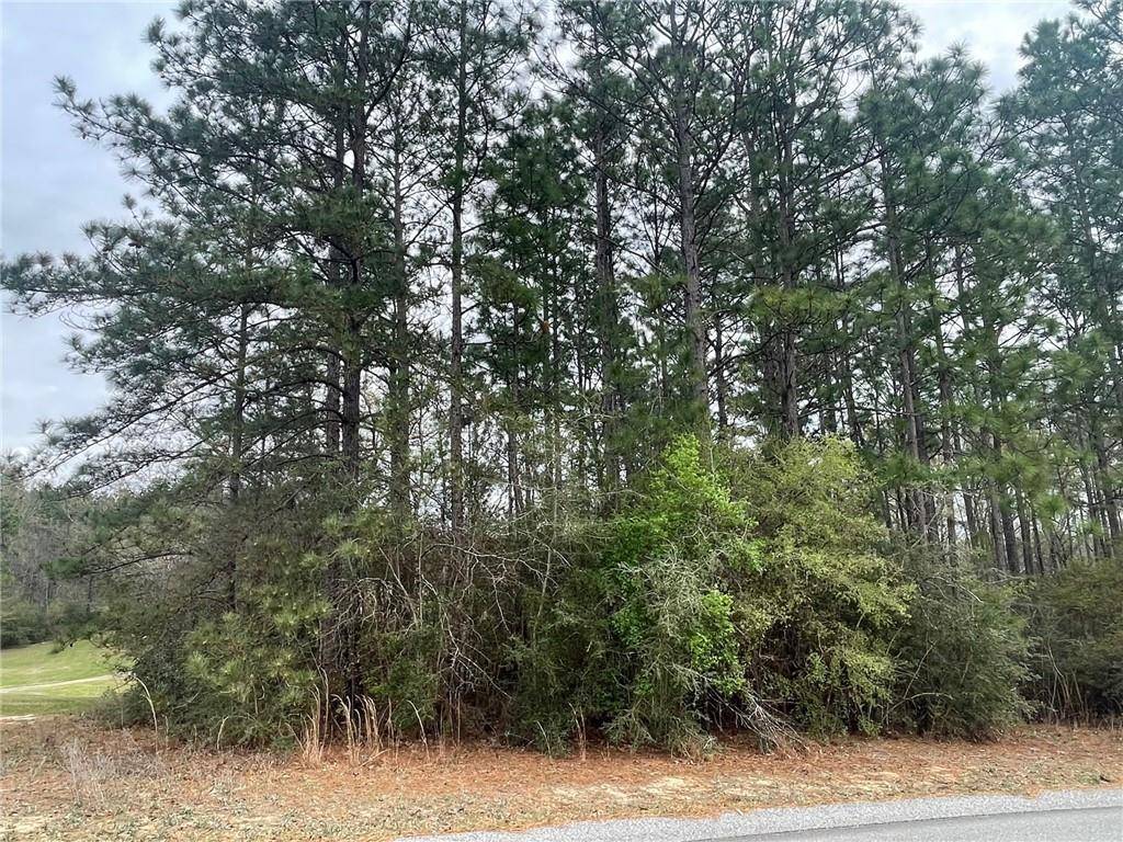 Citronelle, AL 36522,0 Dogwood DR