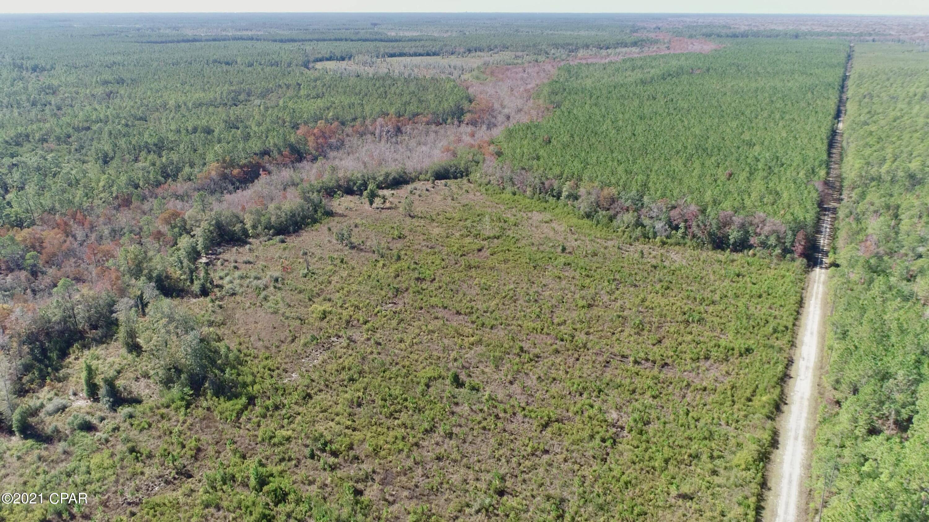 Ebro, FL 32437,00 Otter Creek Bridge Rd
