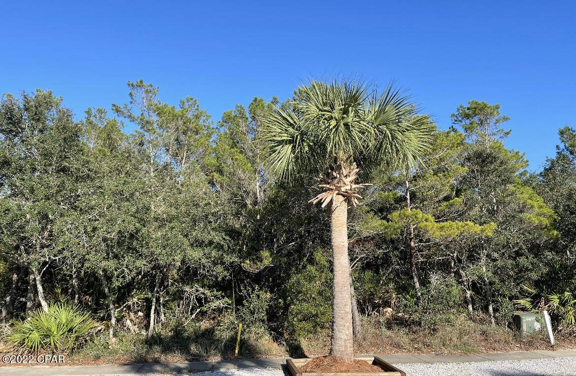 Panama City Beach, FL 32413,430 Lakefront DR