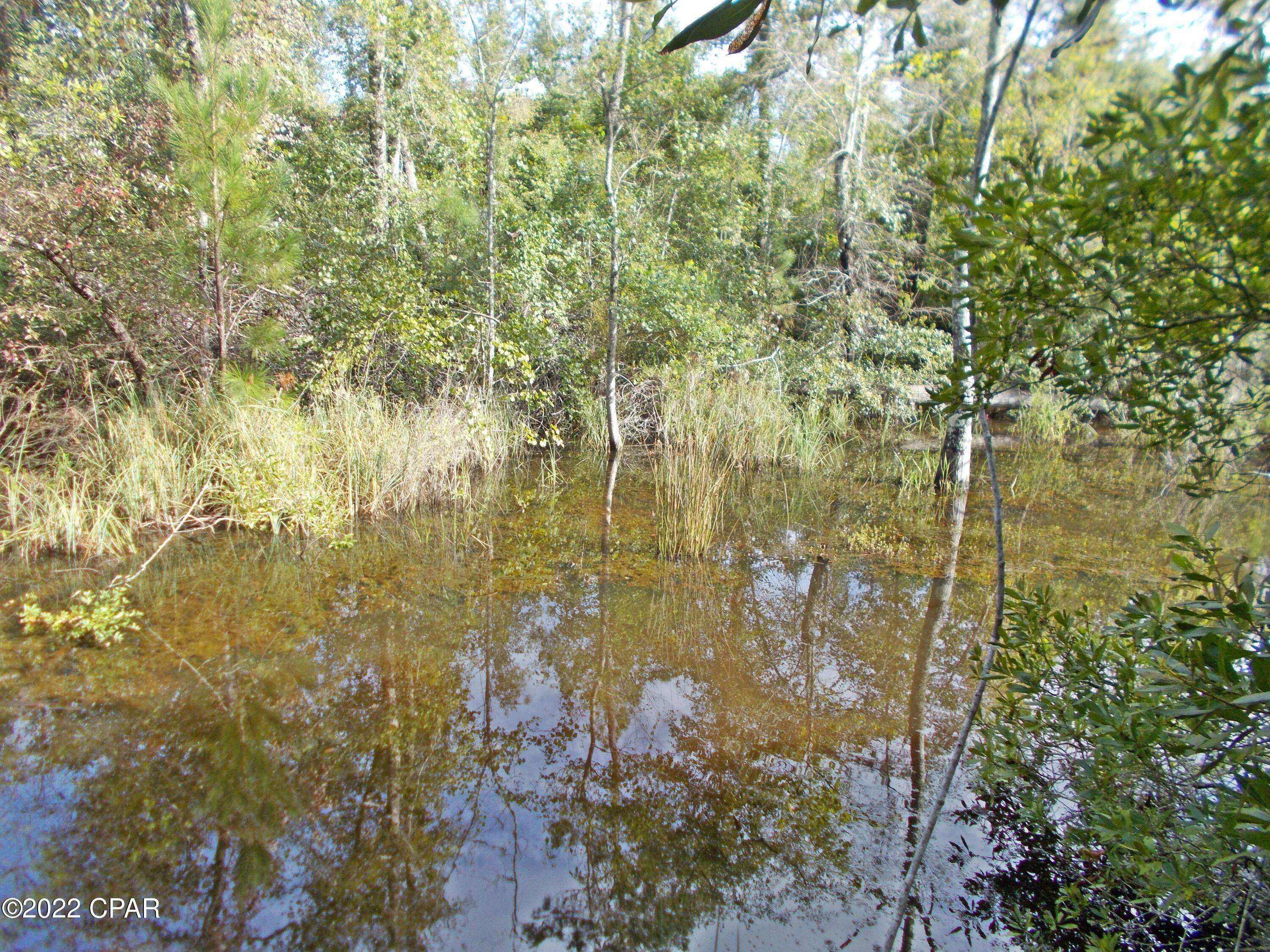 Cottondale, FL 32431,00 Perry RD